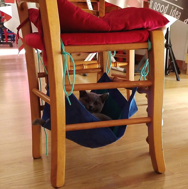 Hamac chat (plusieurs modèles disponibles)