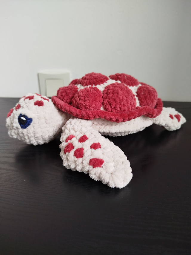 Varech la tortue de mer