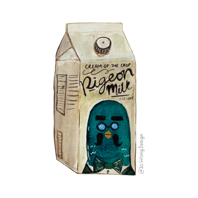 Pigeon Milk