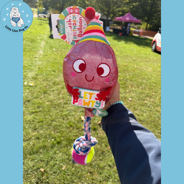 Birthday Balloon Dog Toy