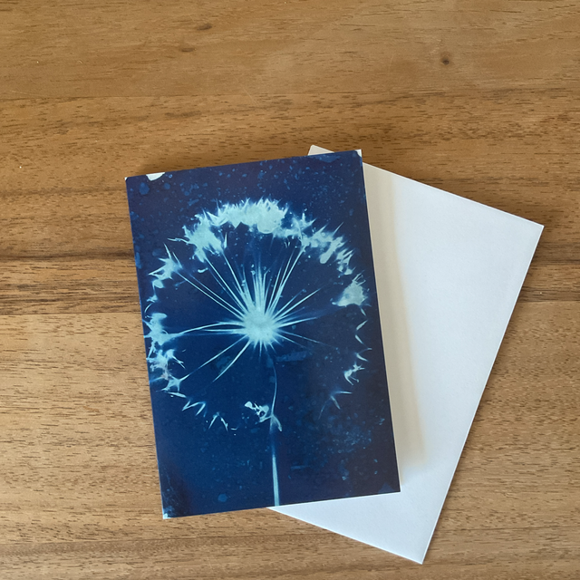 Nature’s Firework Card