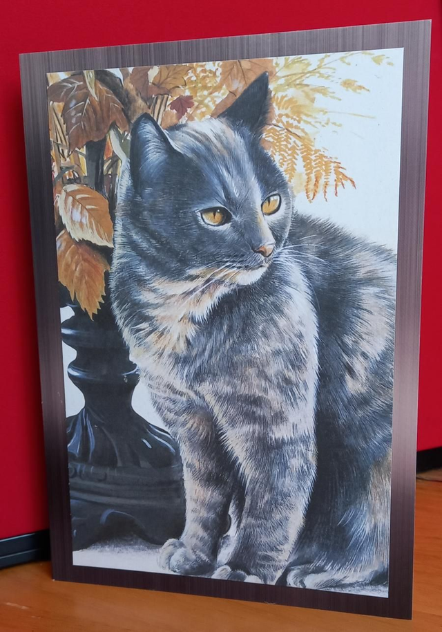 Grey/tortie cat card 