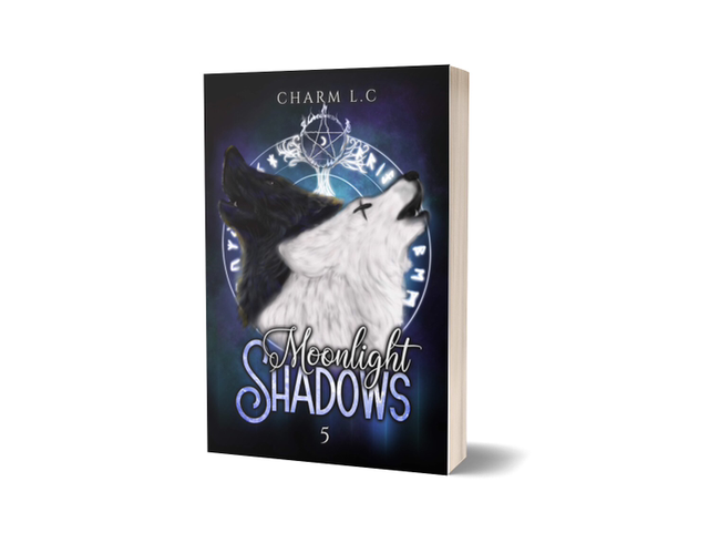 BROCHÉ MOONLIGHT SHADOWS T5