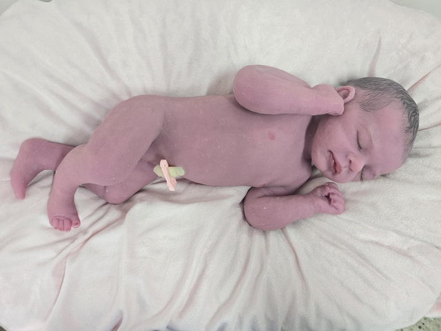 Carmen pelo pintado F