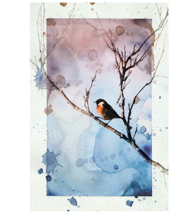 Stonechat Photo-wash