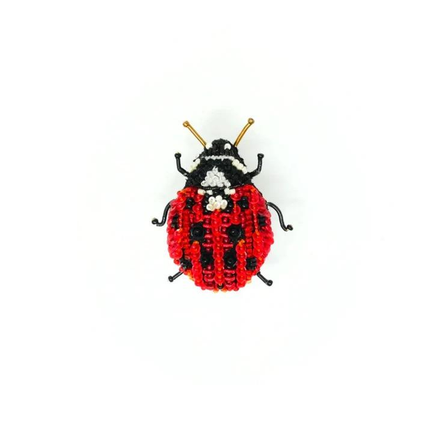 Coccinelle