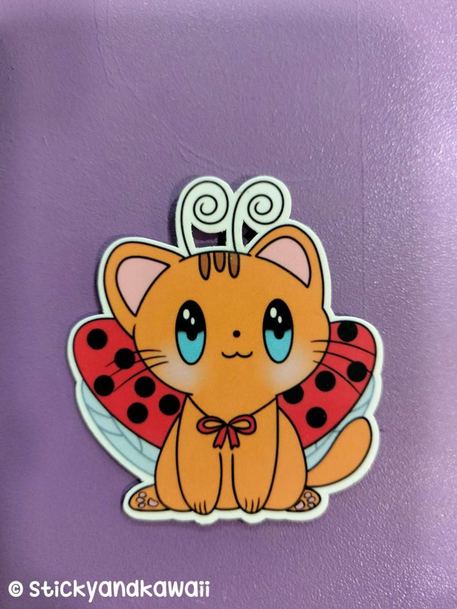 Flam le chat coccinelle