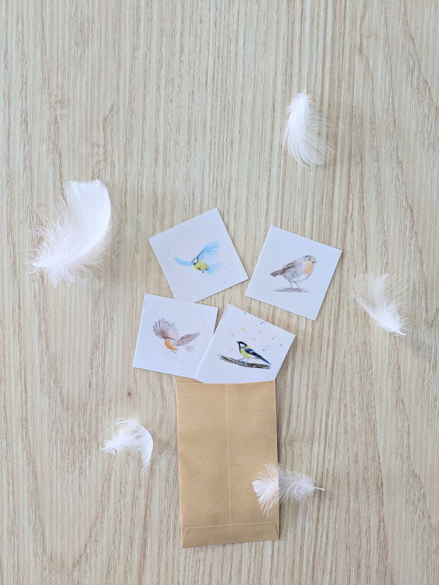 Stickers oiseaux, mésange ou rouge-gorge