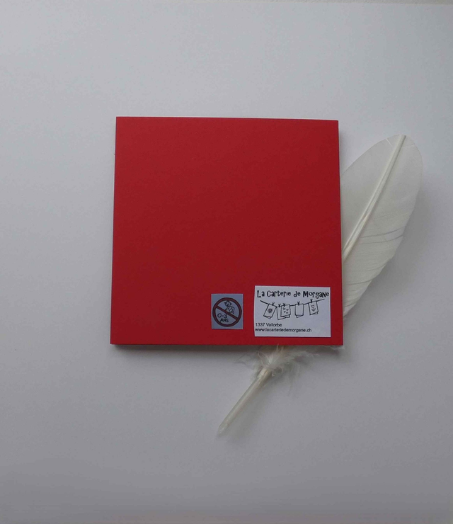 Joli traîneau au-dessus de la forêt (carte à tirette)