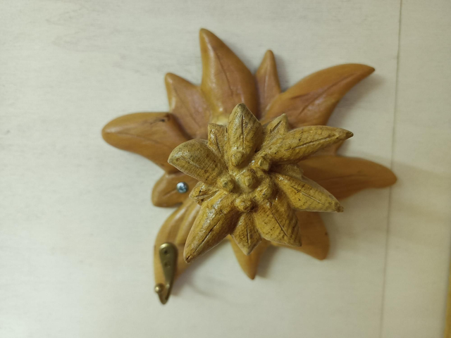 Appendono Stella Alpina