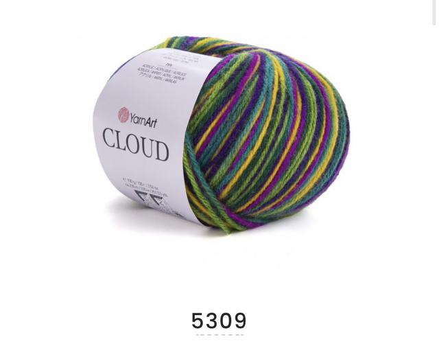 Cloud 5309