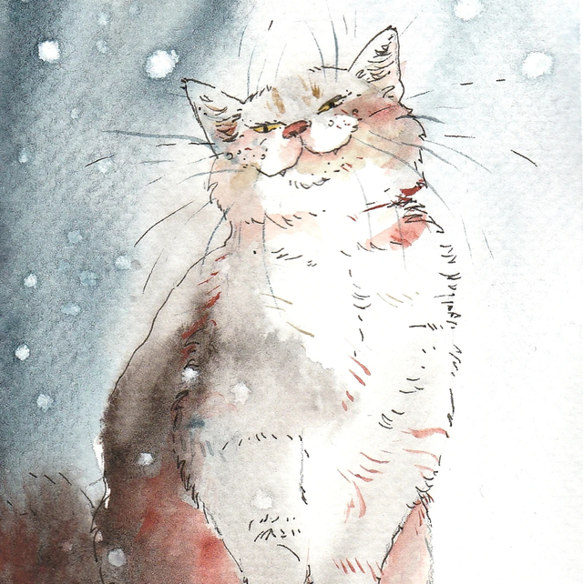 Képeslap, macska a hóesésben