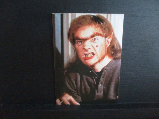 Sabrina The Teenage Witch Mystical (1999) Original Trading Card #53