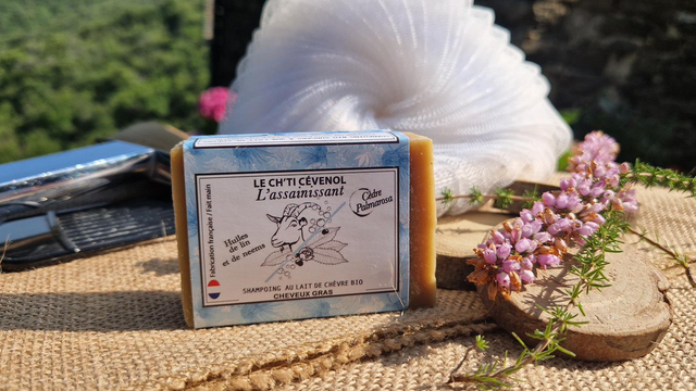 L’Assainissant — cheveux gras