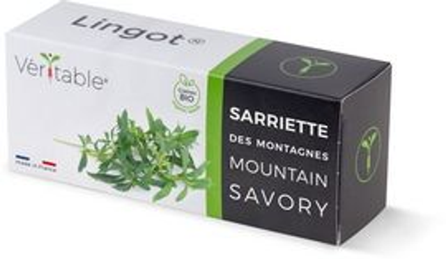 Véritable Lingot Wild Savory - Organic