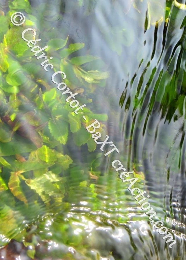 Carte postale - Reflets et cours d'Eau (Ref IMG_8137)