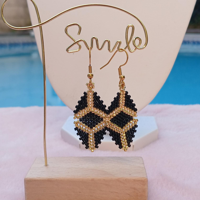 Boucles d&#039;oreilles chic 