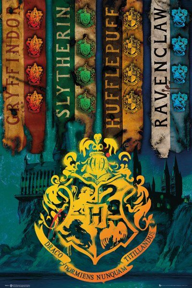 Harry Potter House Flags Maxi poster