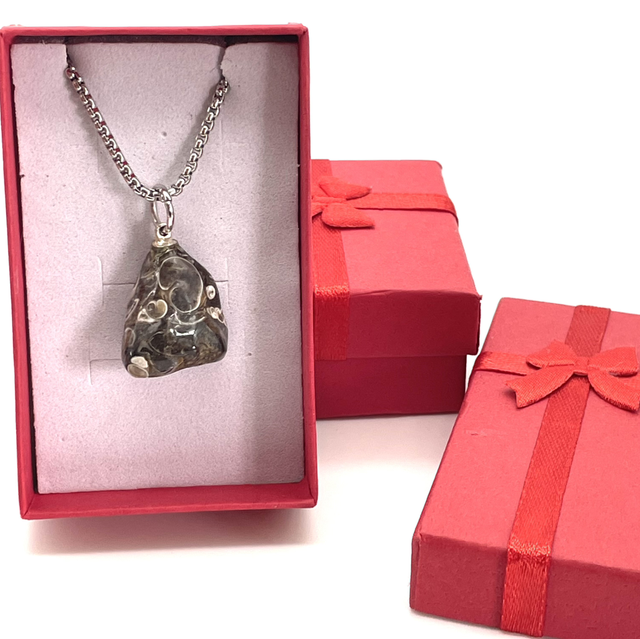 Collier AGATE FOSSILLE