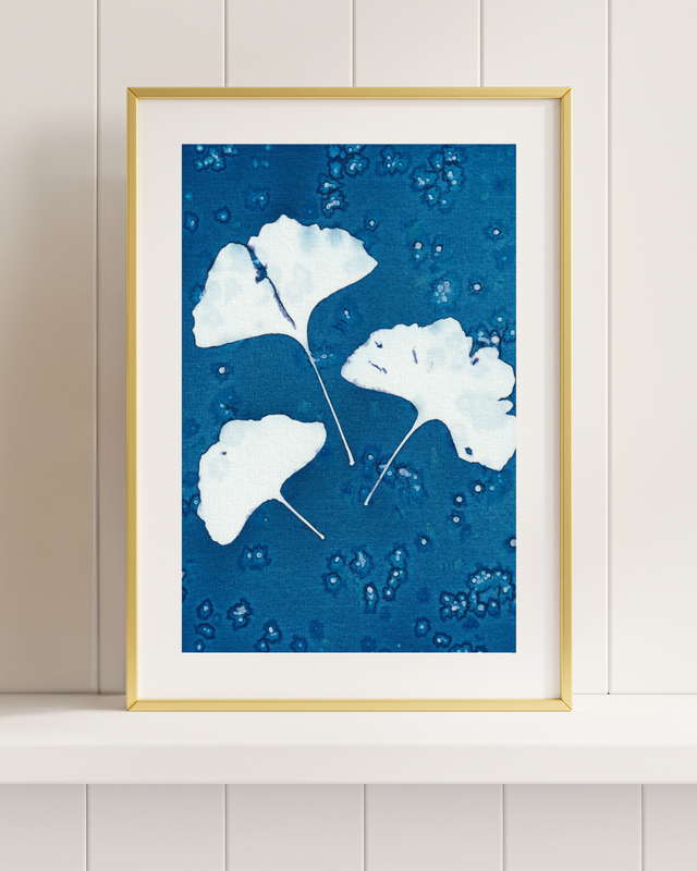 Premières Neiges (Ginkgo)