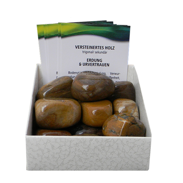 Versteinertes Holz Edelstein