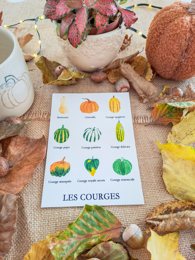 Affiche Fine Art Les courges