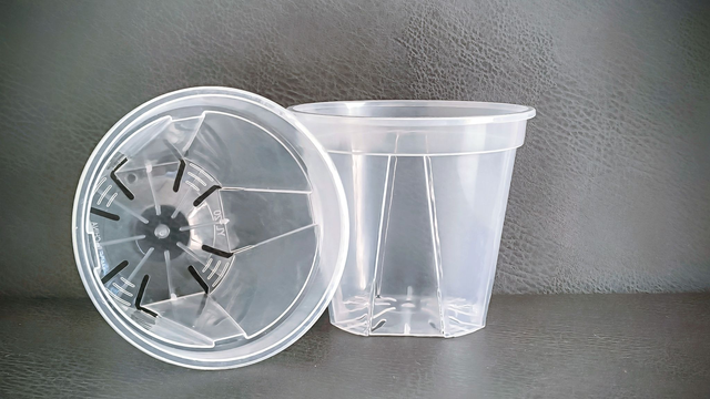 Orchidee pot Classic