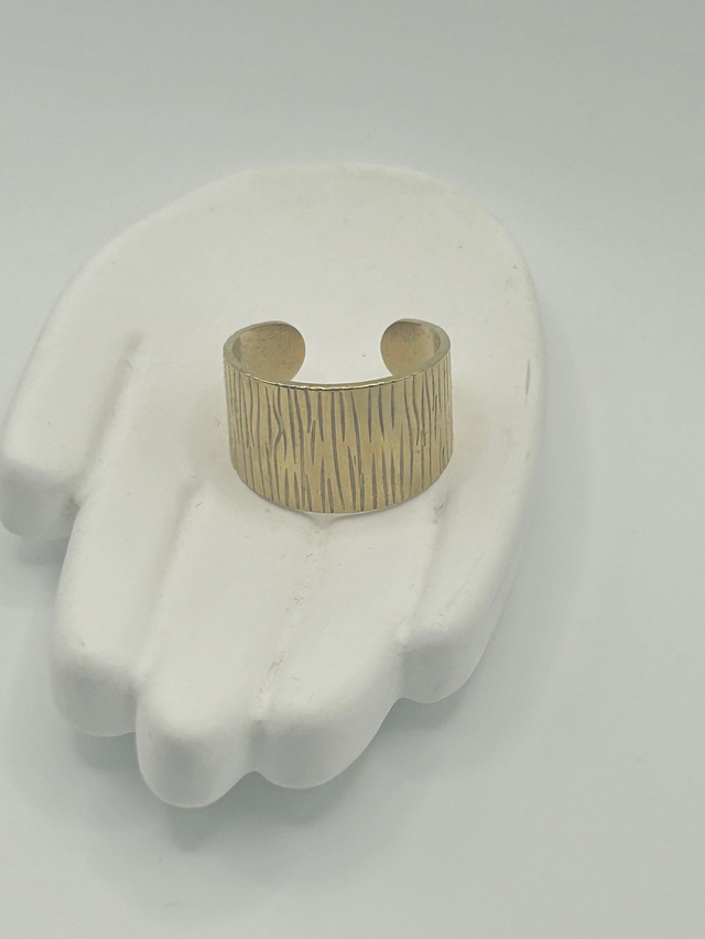 Stainless Steel Ring (SSR138J)