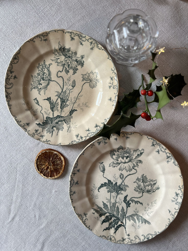 PAVOTS - Duo d'assiettes à dessert modèle Pavots par la manufacture française de Choisy le Roi - Terre de Fer