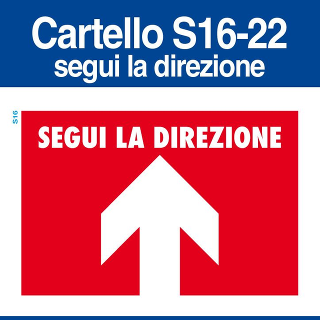 S16-Segui la Direzione