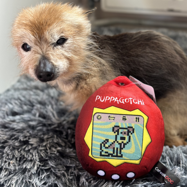Puppagotchi Toy