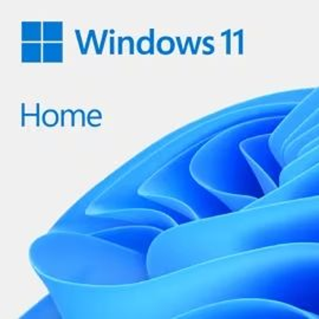 Windows 11 Famille (Home) (OEM)