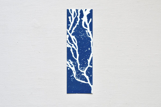 Reproduction Fine Art - Série 1 - Algae - Marque page