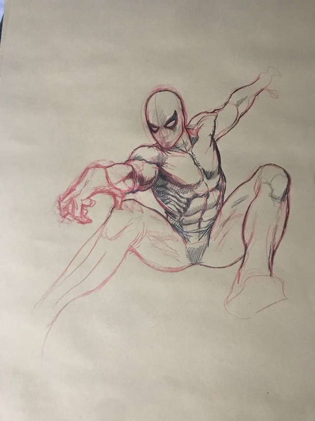 Spiderman study