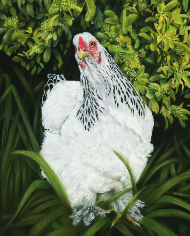 Greeting Card  'LUCKY'  (Konijnenparadijs) 