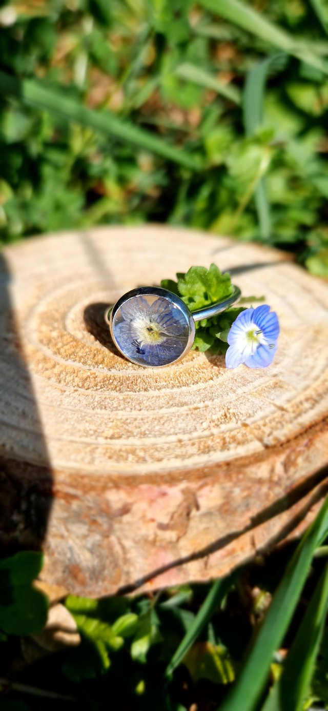 La Bague &quot;Véronica&quot;