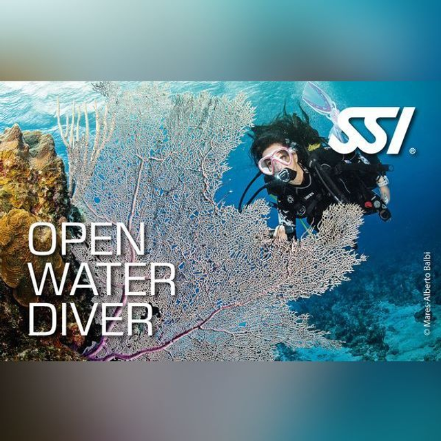 Open Water Diver