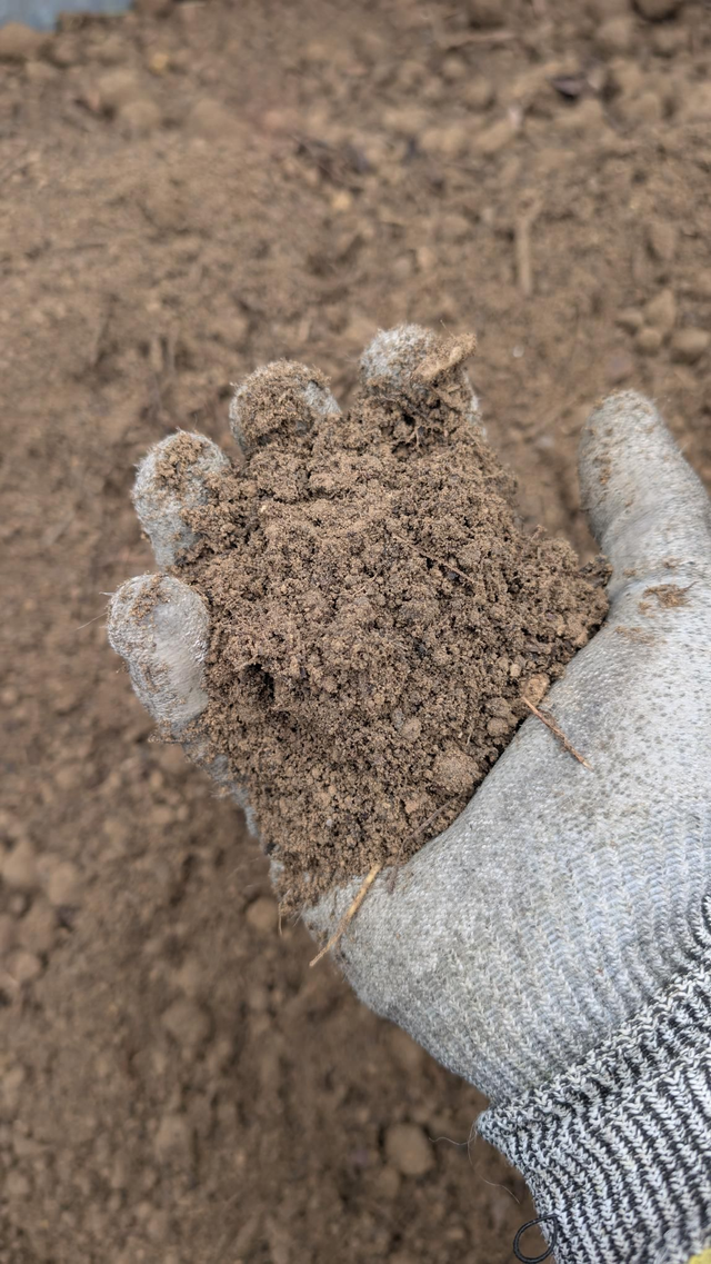 Terre végétale criblée amendée