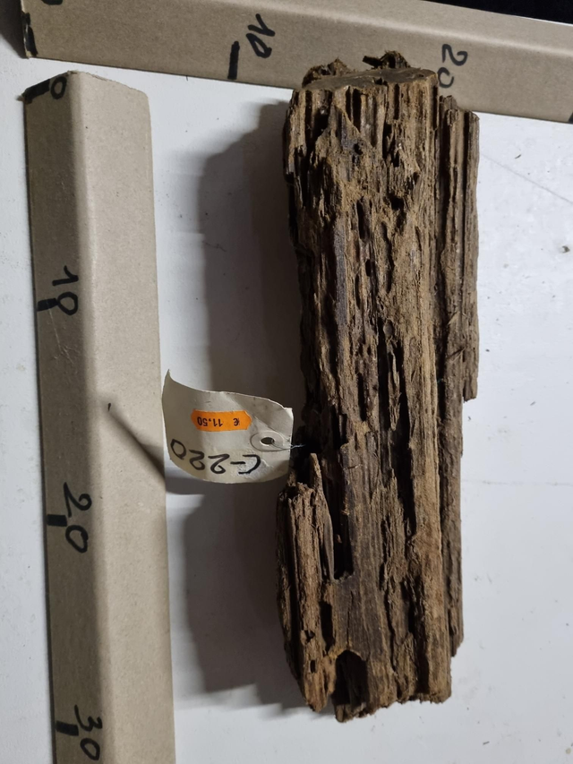 Racine Mangrove C-220