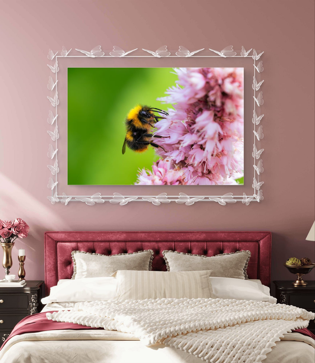 Macro Photography - Bee on Flower  - Print Only