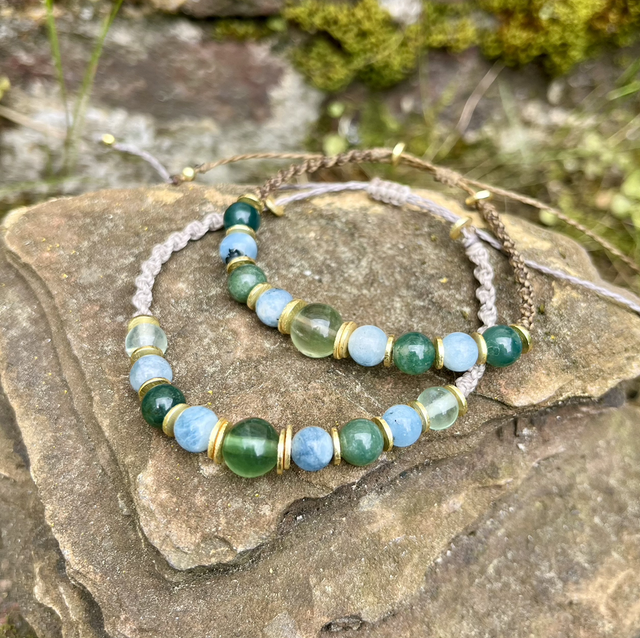 Système Immunitaire 