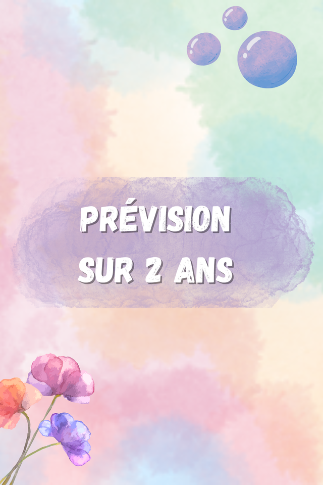 Prévision sur 2 ans par mail 