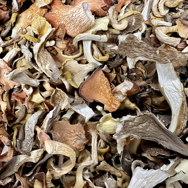 Gedroogde oesterzwam mix BIO - 25g verpakt