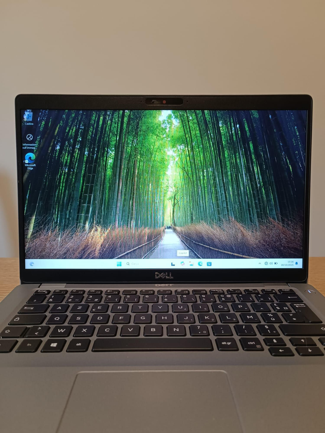 Dell latitude 5410 usato 