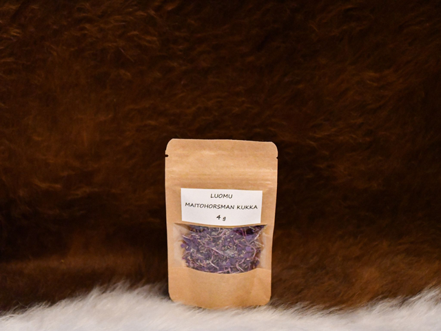 Maitohorsman kukka 4g