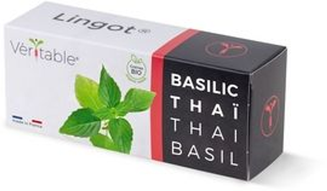 Véritable Lingot Thai Basil - Organic
