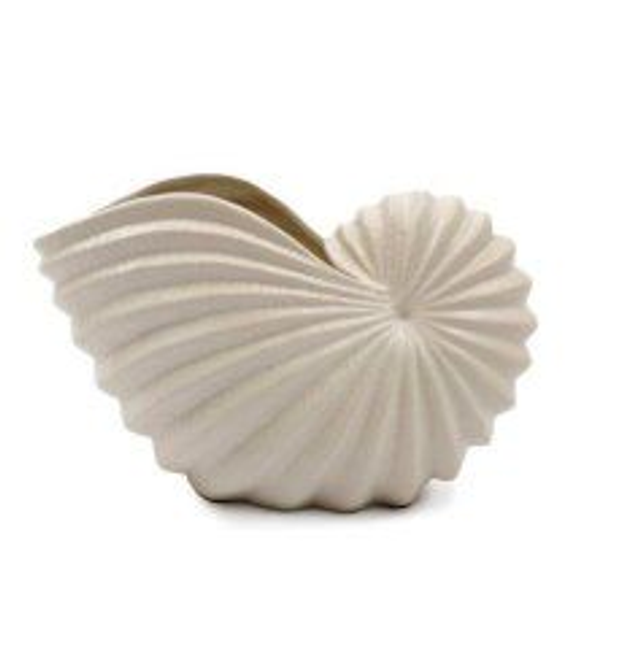 Conch Shell Vase