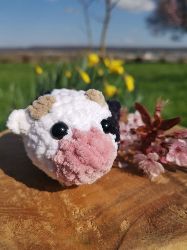 Vache
