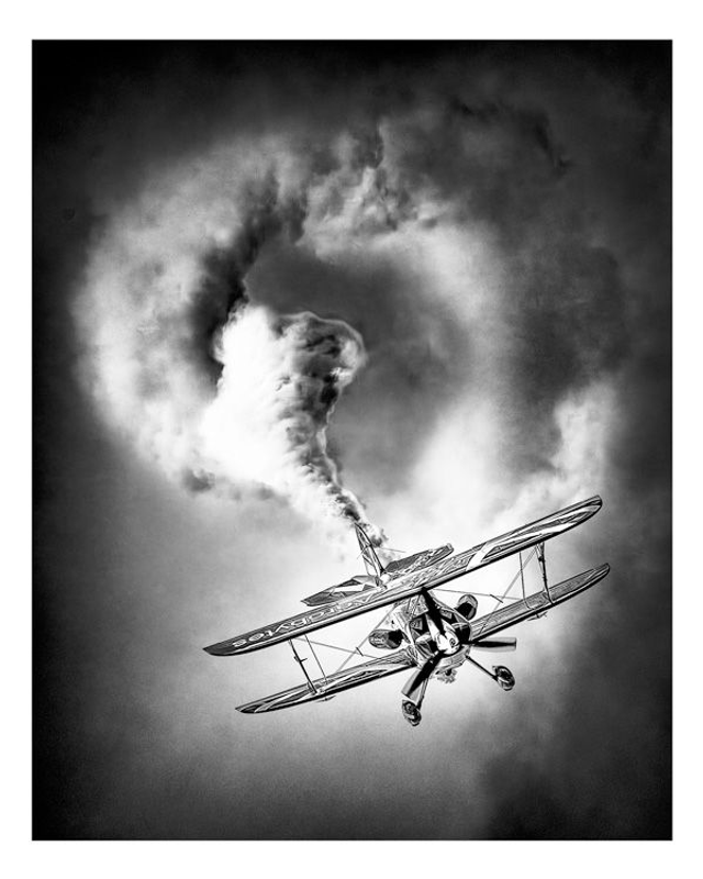 L'oiseau rare (Pitts special)
