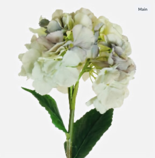 French Hydrangea Stem